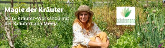 Das gesunde Seminarjahr 2025